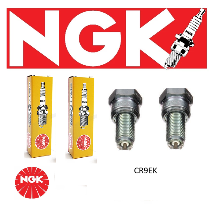 NGK CR9EK Spark Plug  (4548)  X2