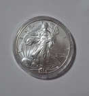 2006 $1 American Eagle 1 oz Silver Dollar Coin Walking Liberty Ungraded