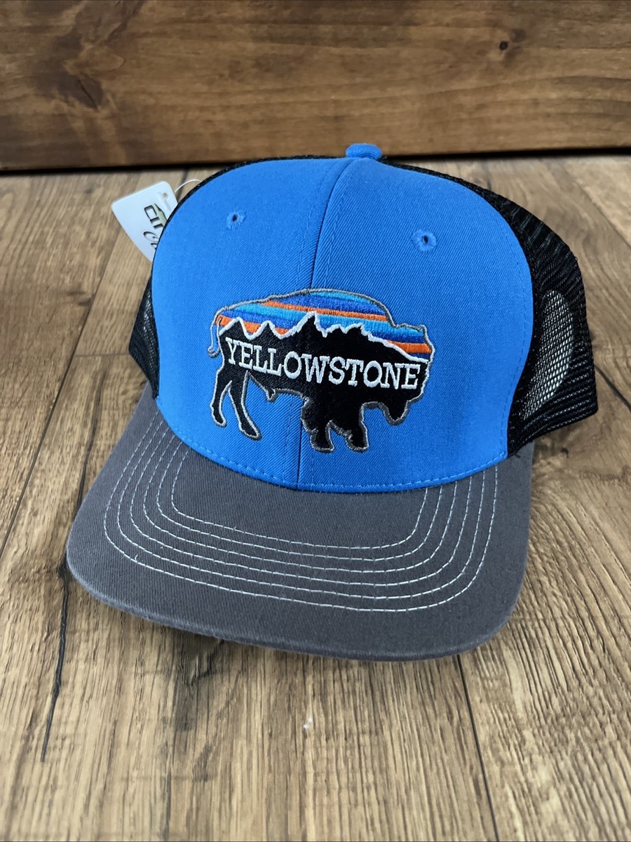 NWT Yellowstone National Park Bison Blue SnapBack Hat | eBay