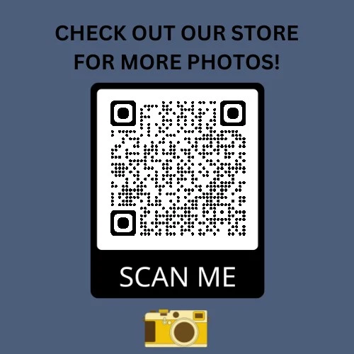 FOTO POSTAL 4X6 MICKEY MANTLE'S GRAND SLAM 1953 SERIE MUNDIAL EBBETS FIELD Foto 4 de 4