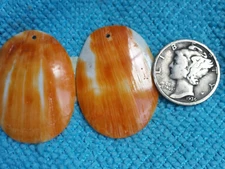 Spiny Oyster Orange Oval Shaped Spiny Oyster Earring Pairs 30 x 23 mm