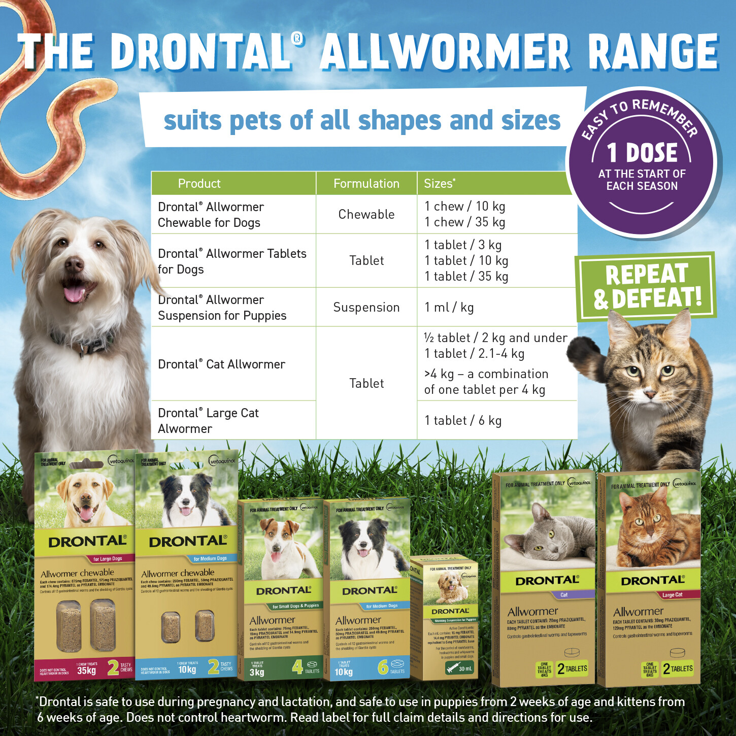 Drontal Allwormer for All Size Dogs & Cats Dog Cat Worming Wormer Dog