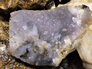 Z~ Idaho Plume Agate Rough lot #2 26 Lbs | eBay