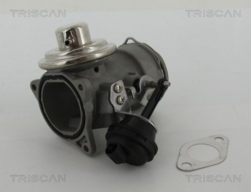 Triscan 8813 29036 Agr-Ventil FüR Seat Skoda Vw-image