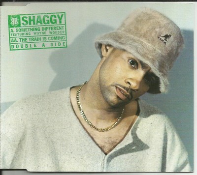 SHAGGY Something Different (600)