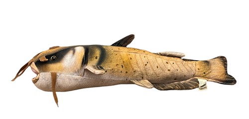 catfish plush toy