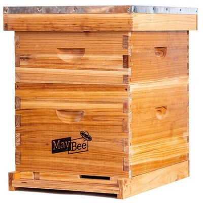 10 Frame Beehive Starter Kit for Beginner Beekeepers with Beekeeping Equipment