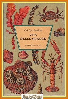 LEBEN DER STRÄNDE von M G Peyrot-Maddalena 1967 Verlag SAIE Bilderbuch