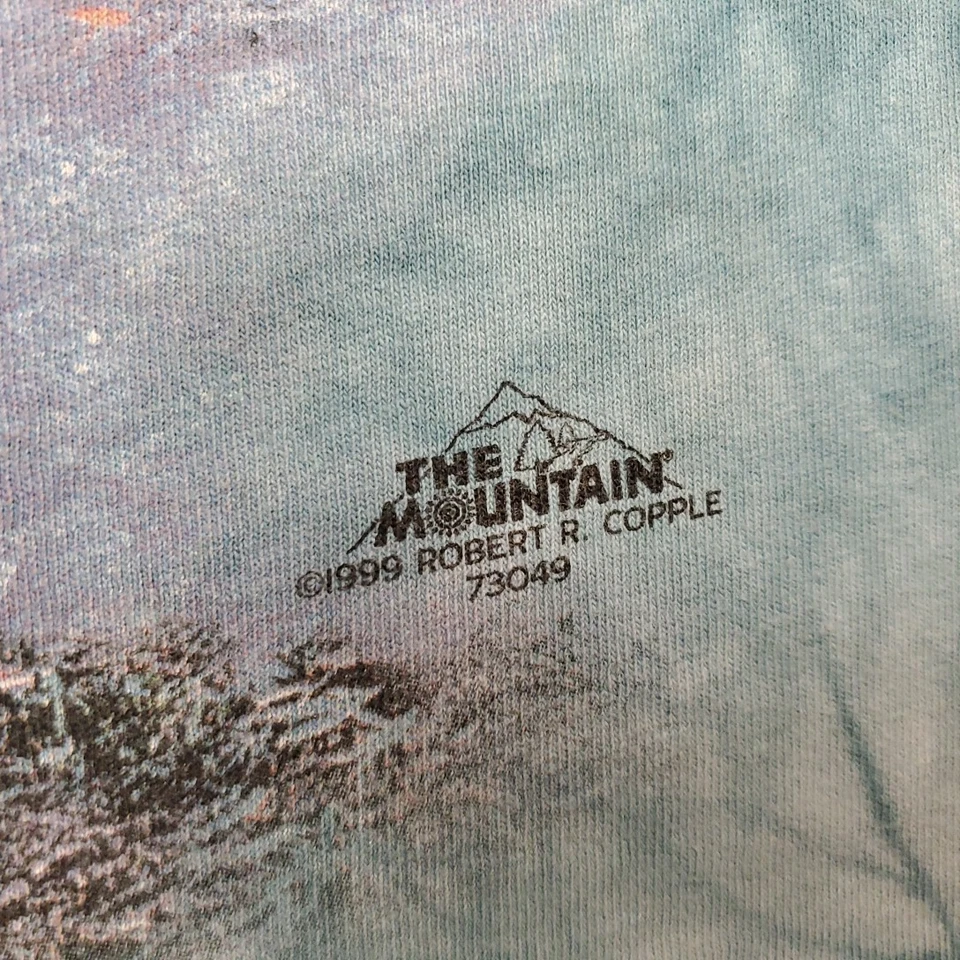 Mountain T Rex рубашка Kids L бирюзовый галстук краситель динозавр ворота природы ретро футболка - Изображение 3 из 4