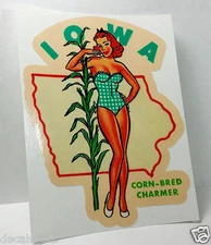 Iowa Pinup Vintage Style Travel Decal, Vinyl Sticker, Luggage Label