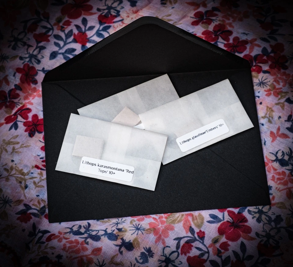 Seed Sowing Kit-Choose from 3 Types-Lithops/Cacti/Succulents- Thoughtful Gift - Image 4 of 4