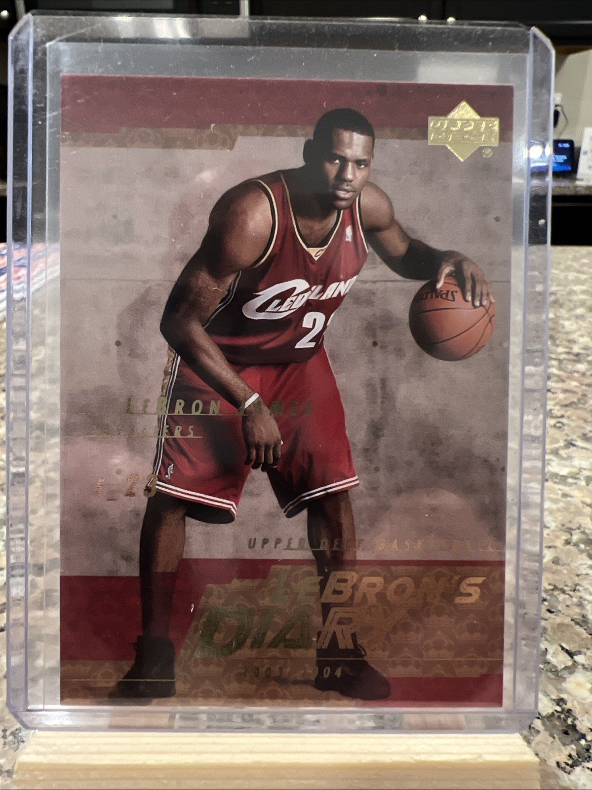 2003-04 Upper Deck - Lebron's Diary LeBron James #LJ13 (RC)