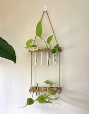 Wall Hanging Plant Propagation Station With 8 Glass Tubes Wooden Stand Decor New