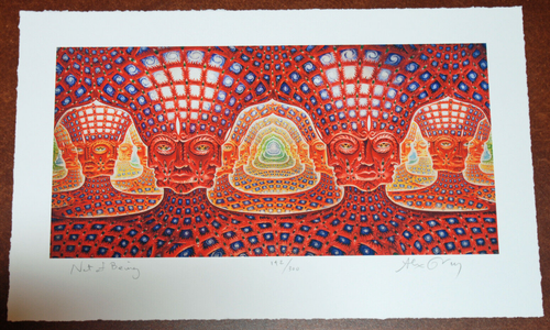 Alex Grey Net of Being 1st Edition Fine Art Print Poster S/# 300 Tool 2006 Music