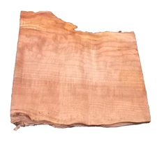 CURLY SPALTED MAPLE  SLAB TURNING CRAFTING  WOODWORKING APPROX 14x12x1 IN