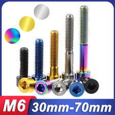 M6 Titanium Socket Cap Head Bolts Ti GR5 Allen Key Hex Screws DIN 912 for Bike