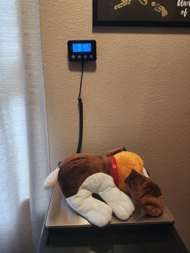 Hasbro Pound Puppies Plush 10" Funrise 2014 Stuffed Animal Toy - Picture 7 of 7