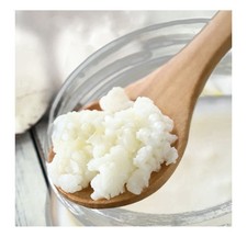 Kefir Grains-live active strong grains-made from fresh organic pasteurized milk