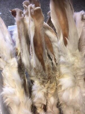 Buy 2kg Quality FURRY Rabbit Ears WITH HAIR FUR For Dogs, Used By Pro Trainers