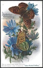  BL A Birthday Greeting Butterflies and Flowers vintage Color Postcard