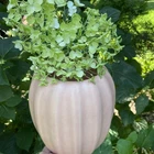 VTG Matte MCM Haeger USA Pottery Gourd Vase Signed 7.25” Tall Mid Century Modern