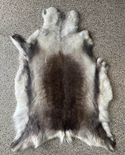 Reindeer Hide rug | High quality Reindeer Skins | Eluxury Home