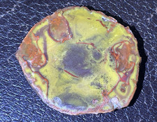 Polished red Yellow Jasper Lapidary Slab Slice Specimen Rough Edge