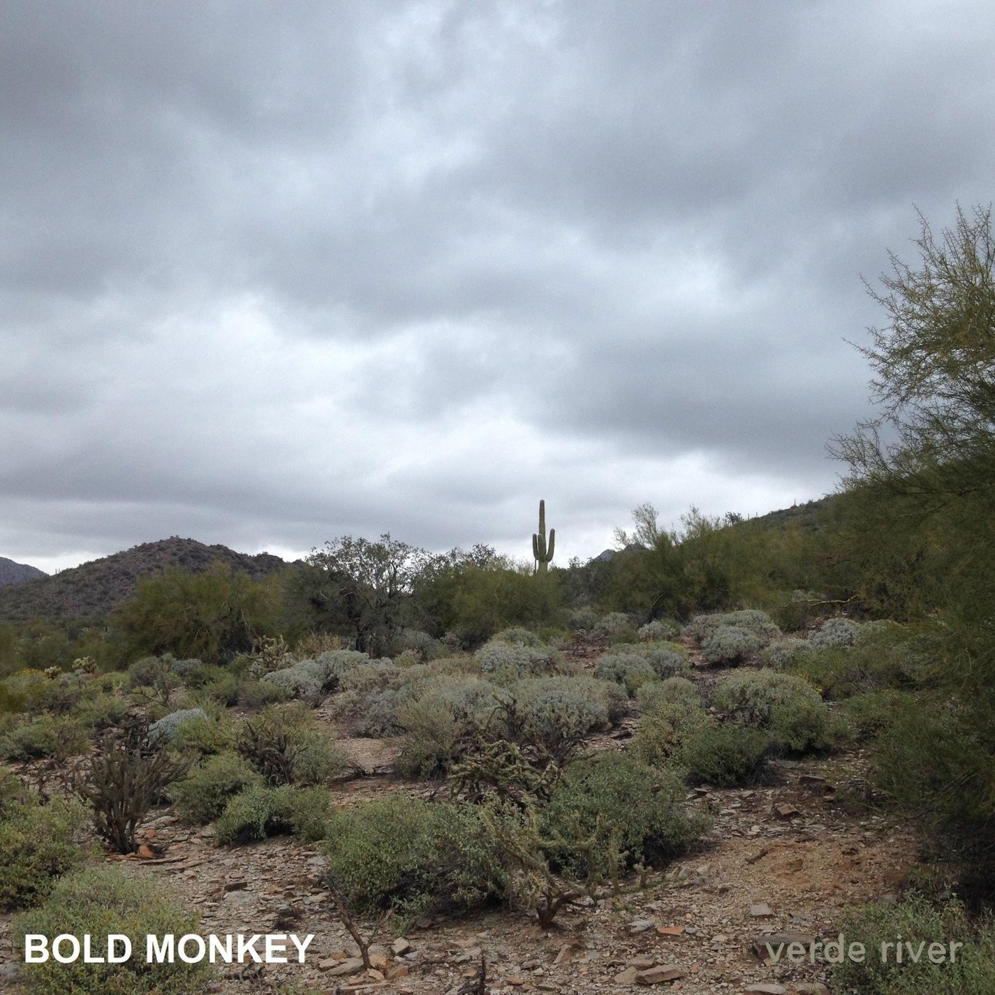 Смелая Обезьянья река Верде (CD)