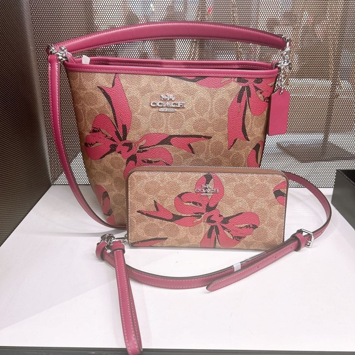 Nwt Coach City Bucket Bag/Long Zip Wallet/bundle With Bow