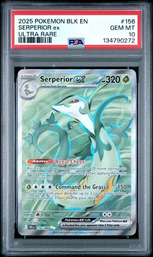 2025 POKEMON BLK EN-BLACK BOLT ULTRA RARE #156 SERPERIOR EX PSA 10