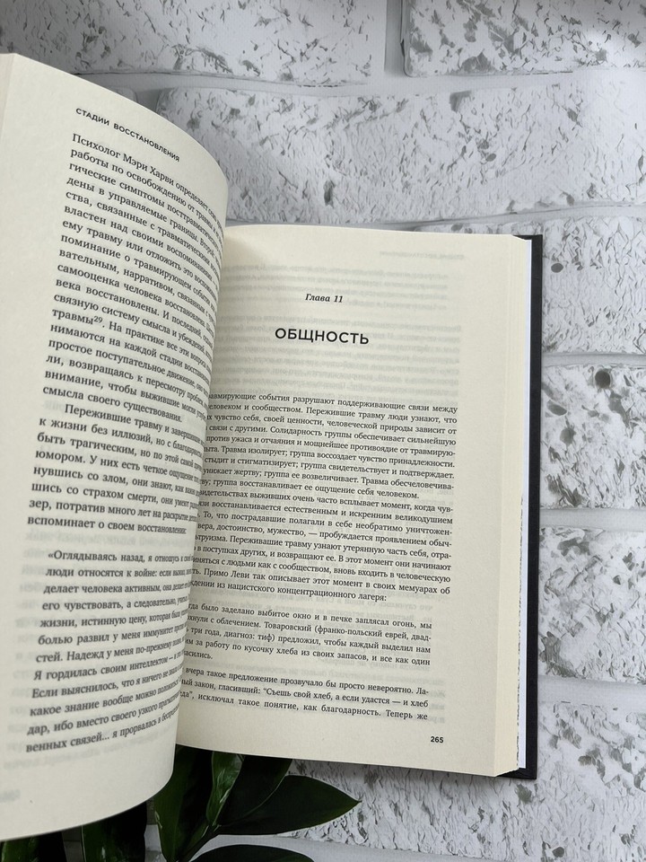 Джудит Герман "Травма и исцеление". Последствия насилия от абьюза ...