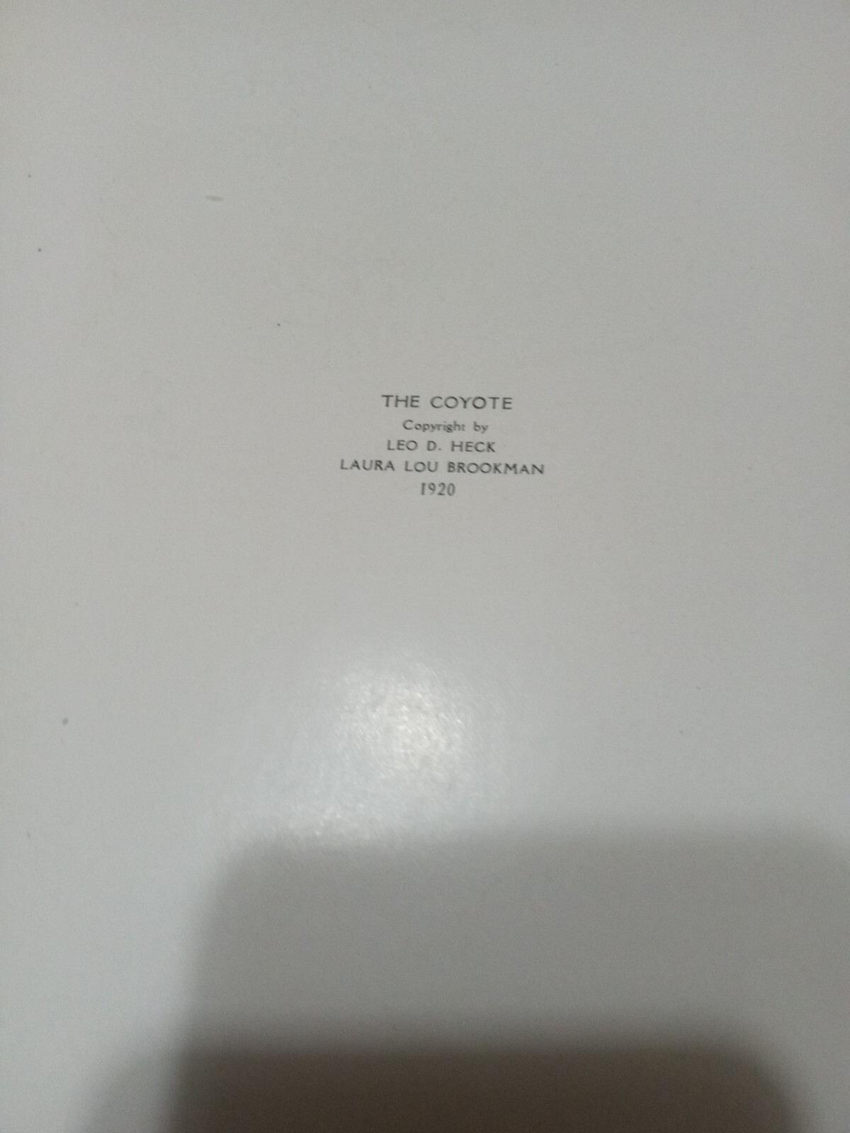 Picture 5 of 22