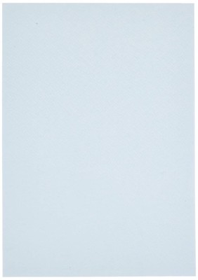 Pooz Modeling Works Vertex Mold Decal Type A Size L for Plastic Models