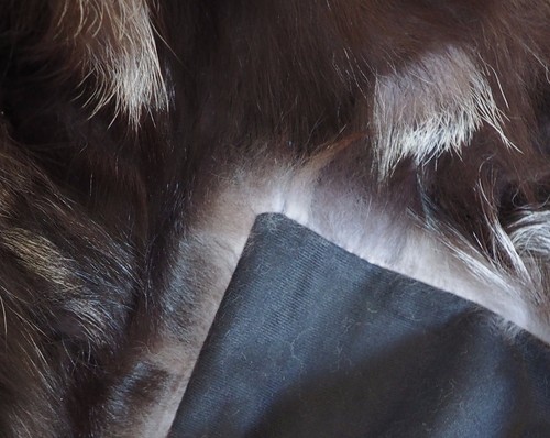 Fox Fur Throw - GENUINE SILVER FOX - BEAUTIFUL & NATURAL - 1800mm x 1600mm - Picture 10 of 12
