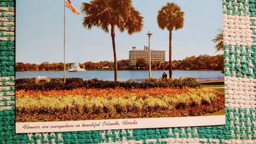 VINTAGE POSTKARTE BLUMEN IM SCHÖNEN ORLANDO FLORIDA. - Bild 9 von 14