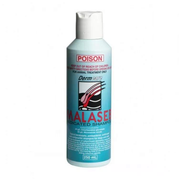 Malaseb for ringworm sales