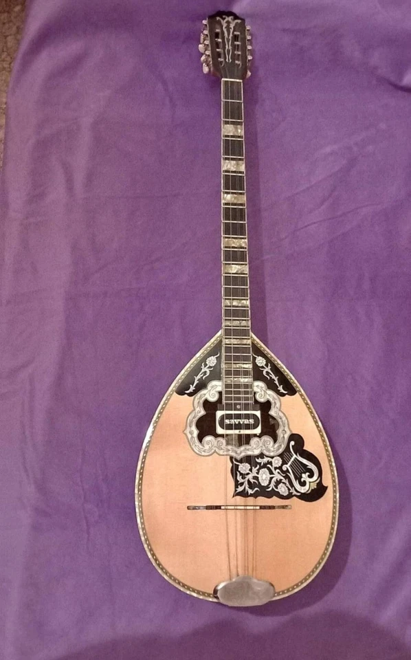 Bouzouki grego com estojo rígido e pick up e afinador e 300 faixas de apoio com partituras  - Imagem 2 de 4