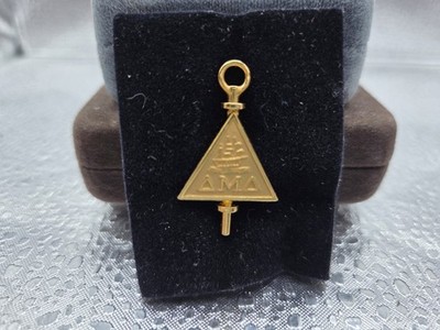 Delta Mu Delta Honors Pin Charm Pendant with Case
