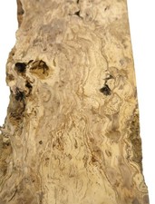 1x Oliven Wurzelholz Holz für Epoxid 53x21-22cm x 48-50mm +++ Drechseln DIY