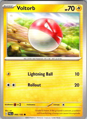 Pokemon Voltorb Normal Common SV02: Paldea Evolved 066/193 NM