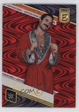 2023 Donruss Elite WWE Legends Aspirations Swirl 4/75 Ravishing Rick Rude 3hd