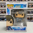 Funko Pop Animation The Dragon Prince Callum 750 Netflix Fantasy Vinyl Figure