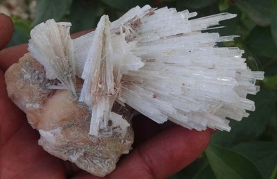 Scolecite Spray On Stilbite Minerals Specimen India
