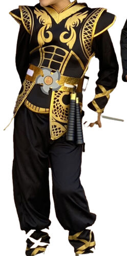 Ninja Fighter Halloween Costume Gold/black Child S