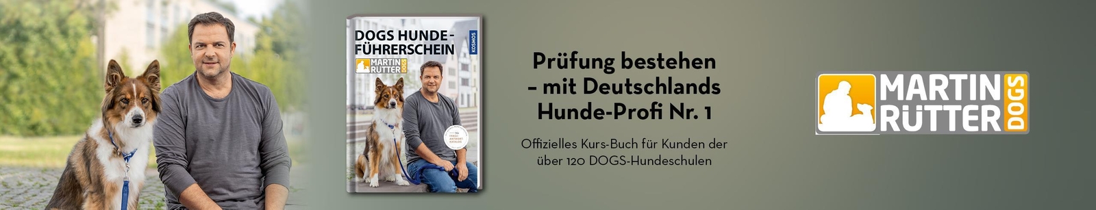 Thumbnail - Dogs Hundeführerschein Martin Rütter