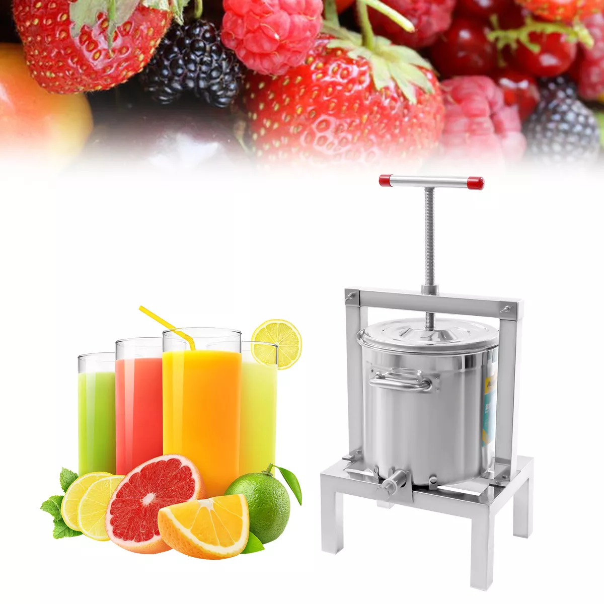 Manual Fruit Juicer Grape, Apple Juice Extractor 2.6gal/10L with Press  Handle