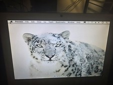 Late 2006/Early 2007 iMac 17" 1.83GHz Intel Core 2 Duo A1195