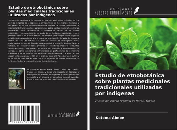 Estudio De EtnobotáNica Sobre Plantas Medicinales Tradicionales Utilizadas...-image