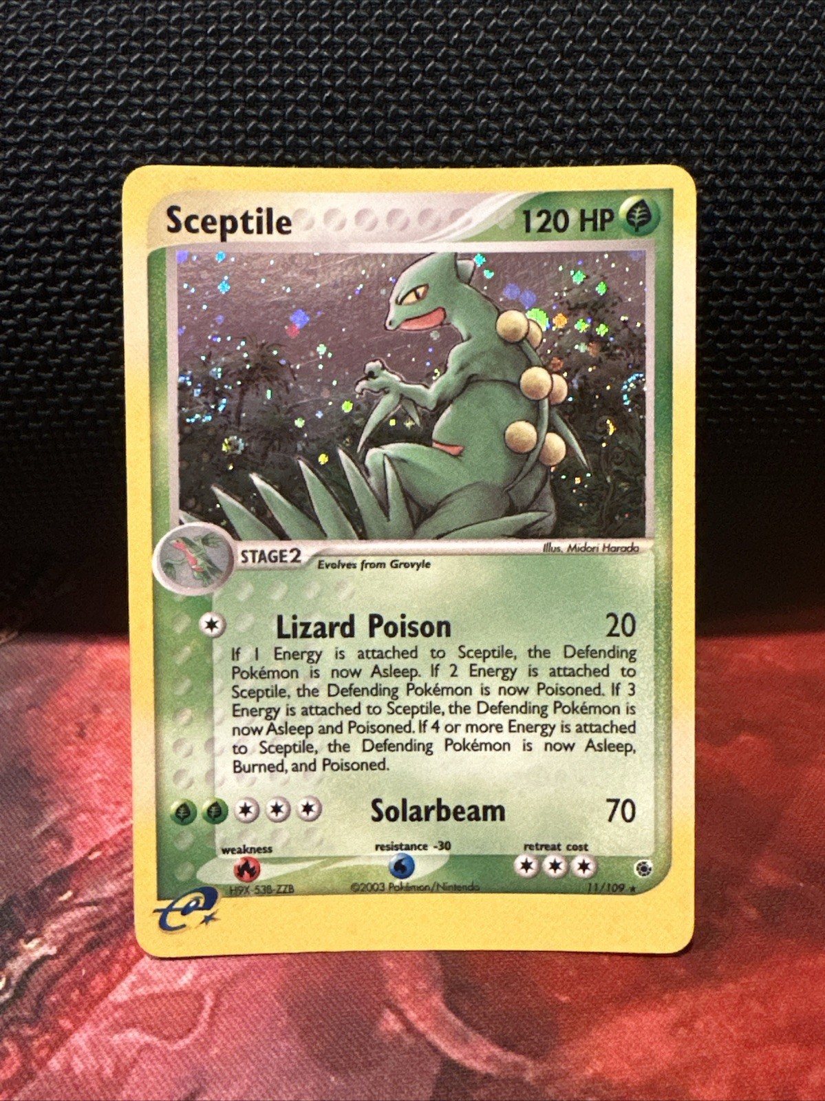 Sceptile 11/109 Ruby and Sapphire Holo Swirl RARE POKEMON CARD NEAR MINT NM