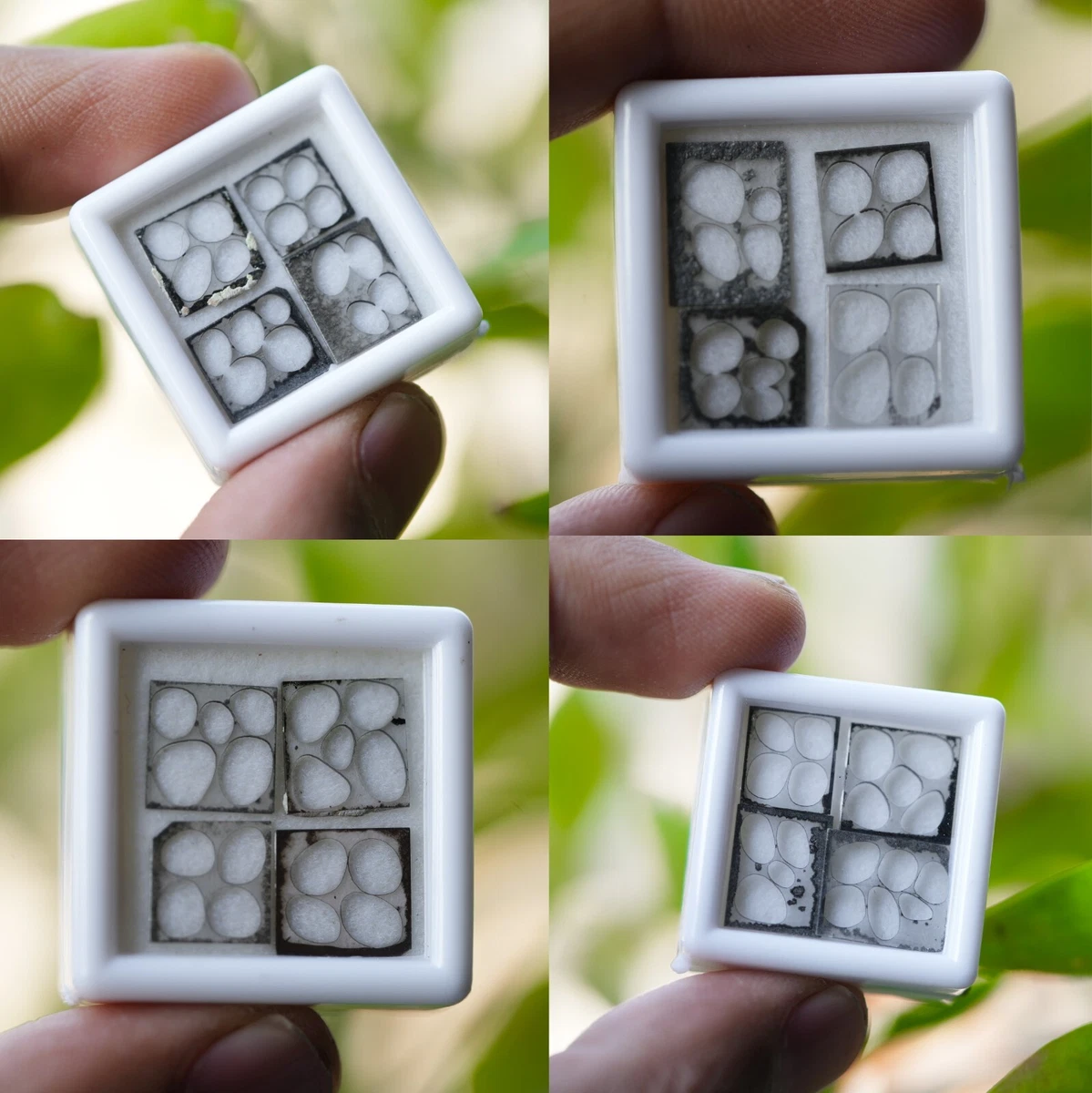 Uncut lab sale grown diamonds